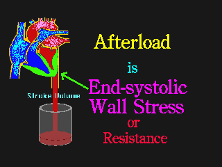 Effect of Preload and Afterload