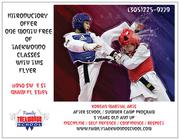 Miami Taekwondo Classes 