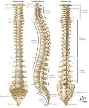 Spinal Decompression Frisco