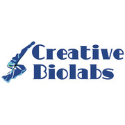 antibody engineering services